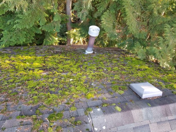 Vancouver Roof Cleaning Before