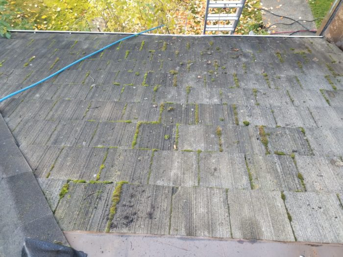 Before Vancouver Roof Cleaning